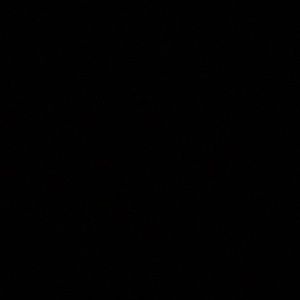 Meet your Posher, Jasiris